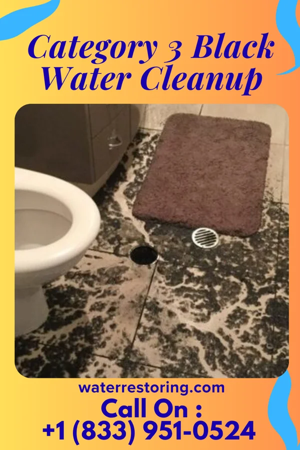 Category 3 Black Water Cleanup in Atoka, OK